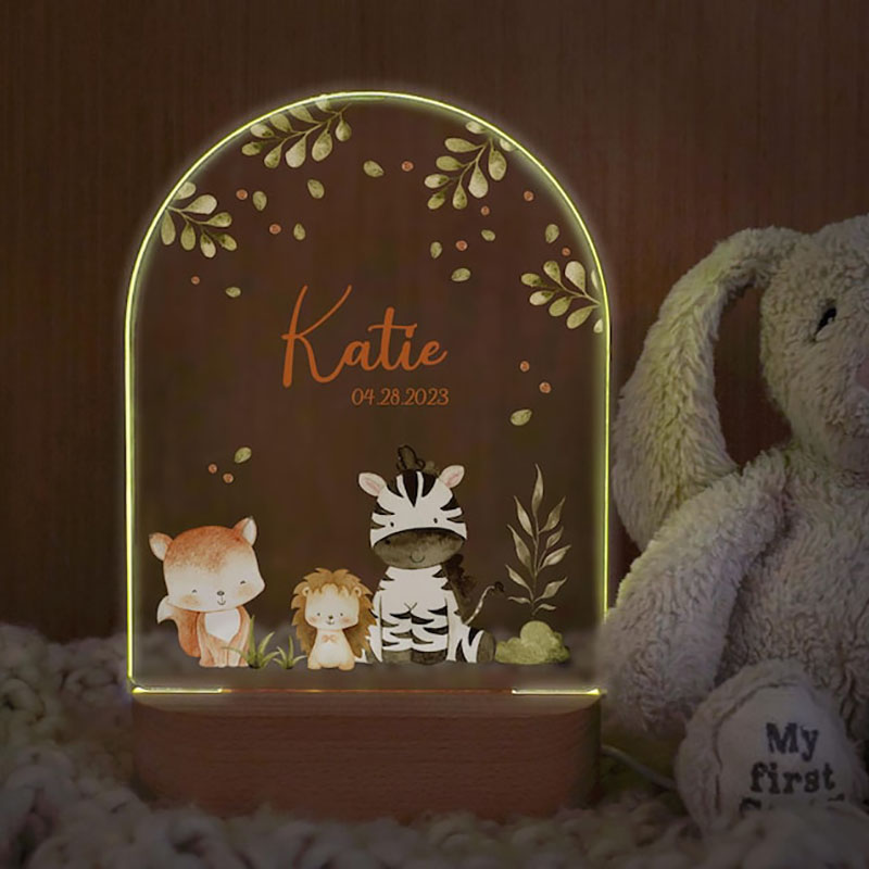 Benutzerdefinierte Name Baby N – Custom Star Map Bewertung und Preis